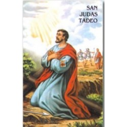 SAN JUDAS TADEO (TRABAJO)