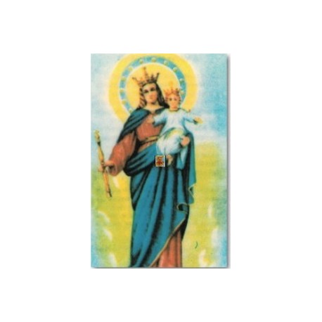 VIRGEN MARIA AUXILIADORA