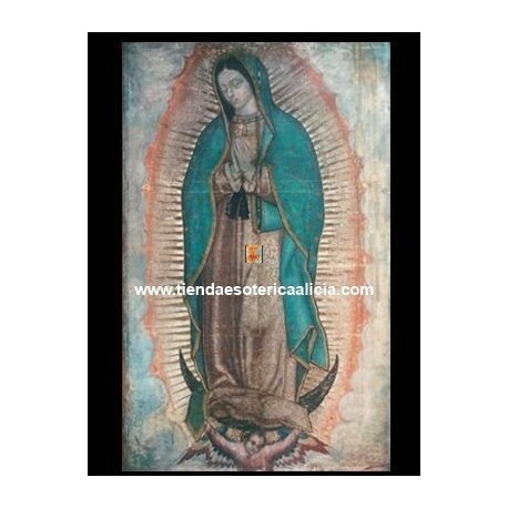 ESTAMPA VIRGEN GUADALUPE