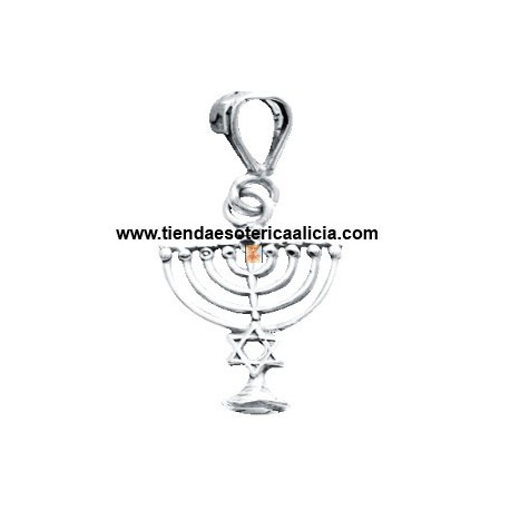 Candelabro judio 9 brazos