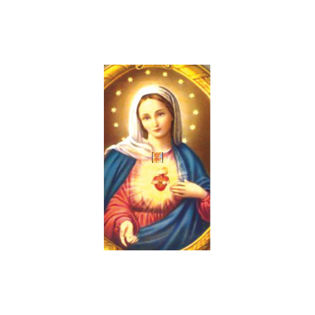 ESTAMPA CORAZON DE MARIA