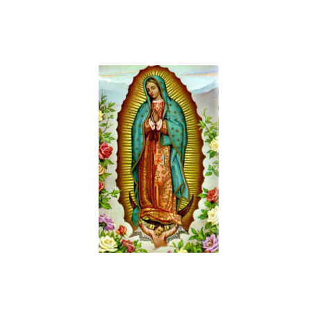 ESTAMPA GUADALUPE VIRGEN (MEXICO)