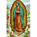 ESTAMPA GUADALUPE VIRGEN (MEXICO)