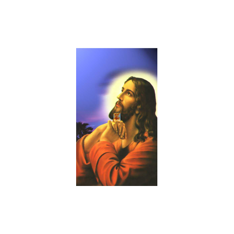 ESTAMPA ORACION PARA TODOS LOS DIAS