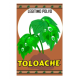 POLVO TOLOACHE