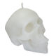 CALAVERA GRANDE BLANCO