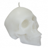 CALAVERA GRANDE BLANCO