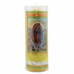 VS VIRGEN DE GUADALUPE