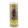 VS VIRGEN DE GUADALUPE